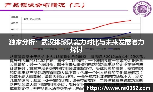 独家分析：武汉排球队实力对比与未来发展潜力探讨