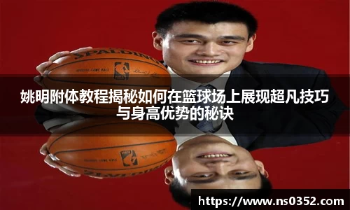 YY体育