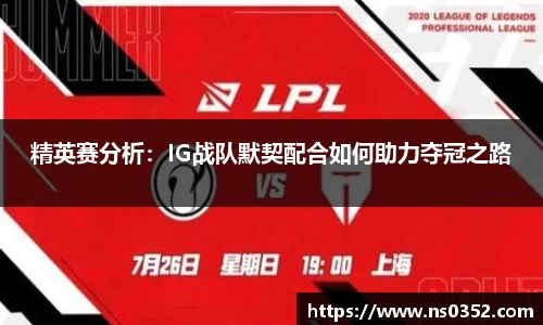 精英赛分析：IG战队默契配合如何助力夺冠之路