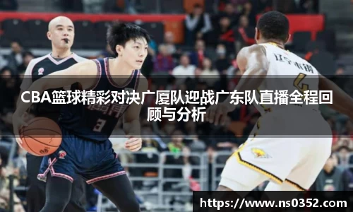 IM电竞官网入口